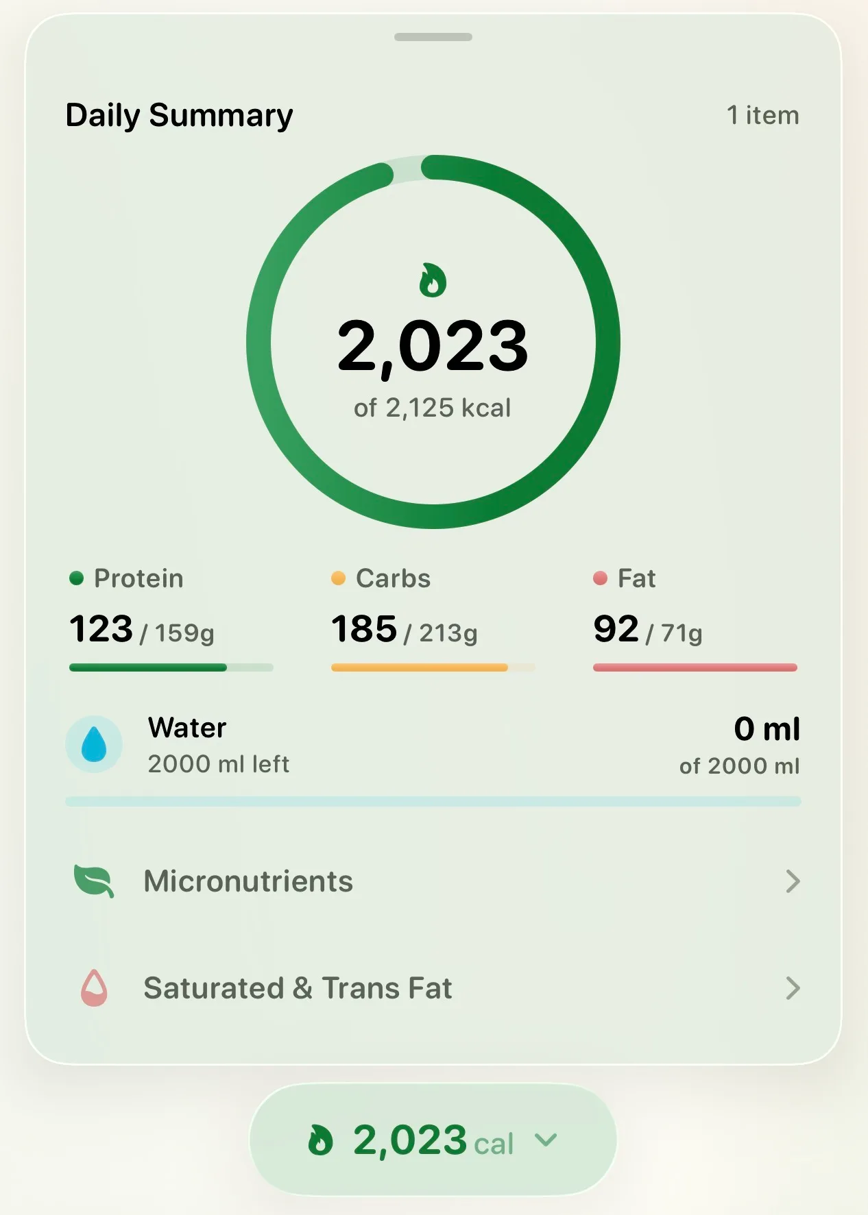 Daily summary with calories, macros, and additional nutrition details